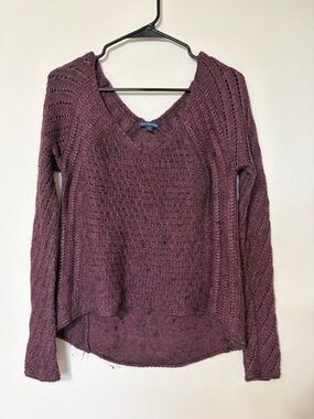 American Eagle Outfitters Women's Marled Wine V-Neck Sweater